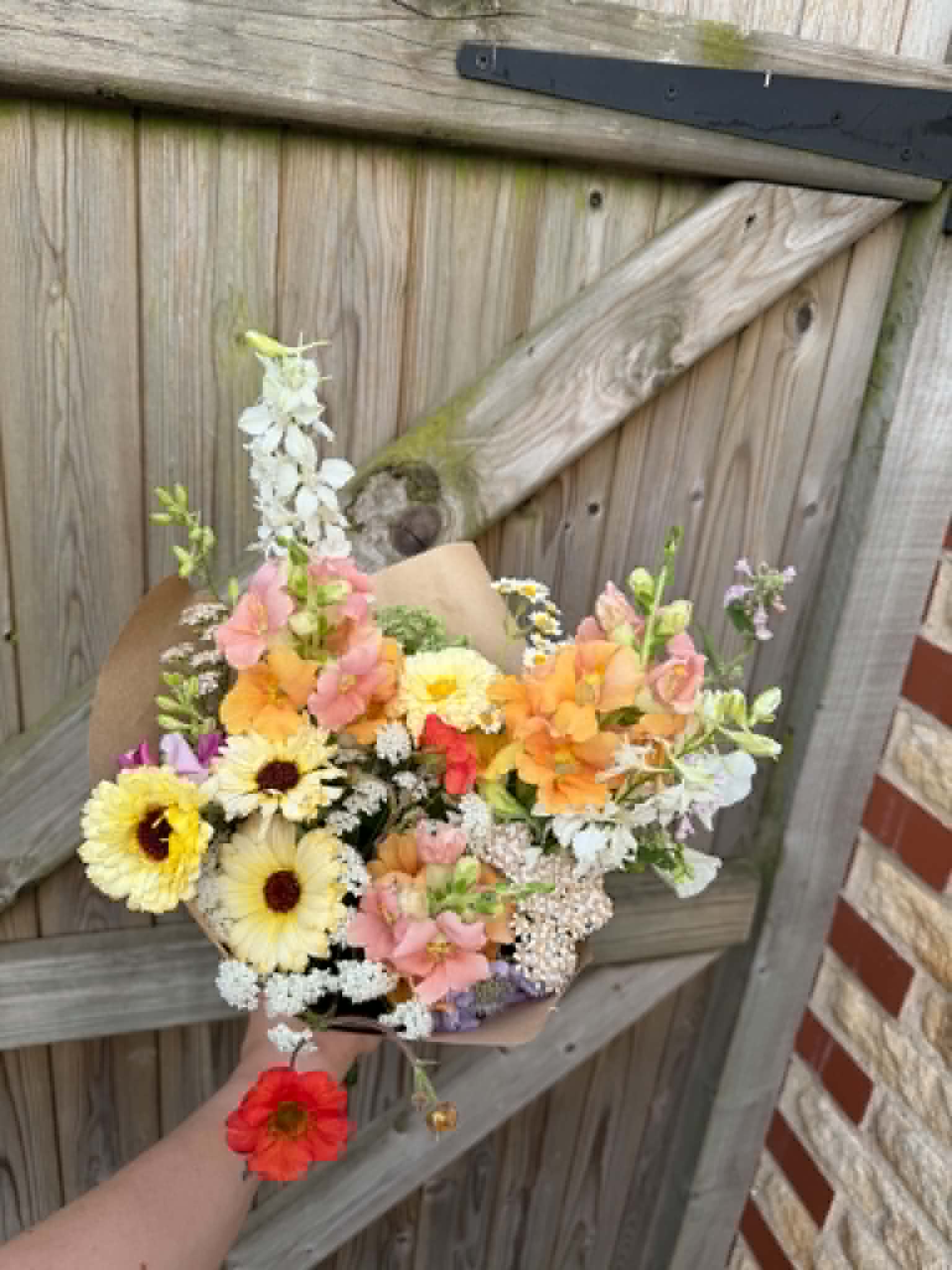 Kraft-wrapped bouquet with gerbera by the garden gate