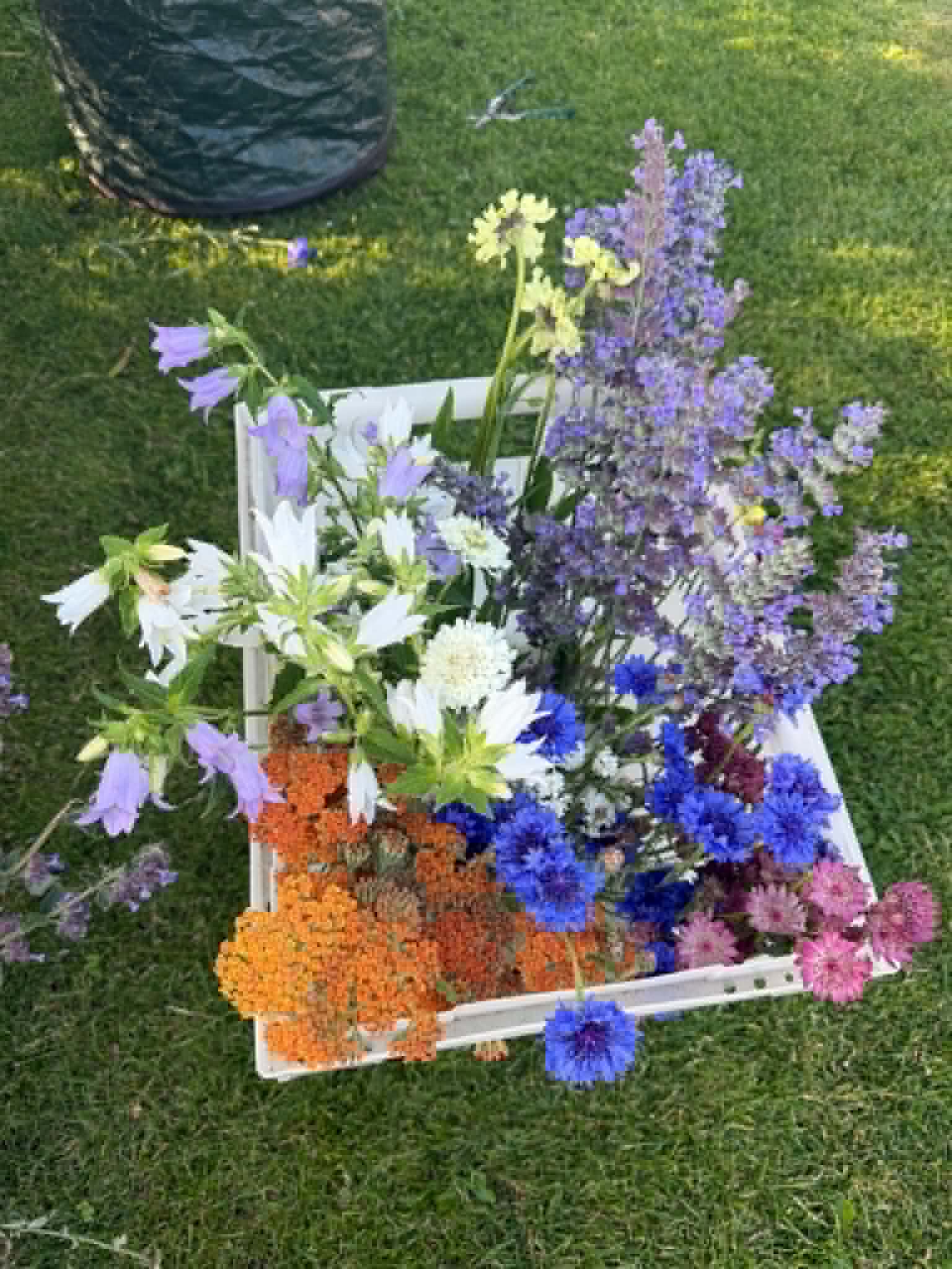 Freshly cut flowers gathered in a wooden crate in the garden