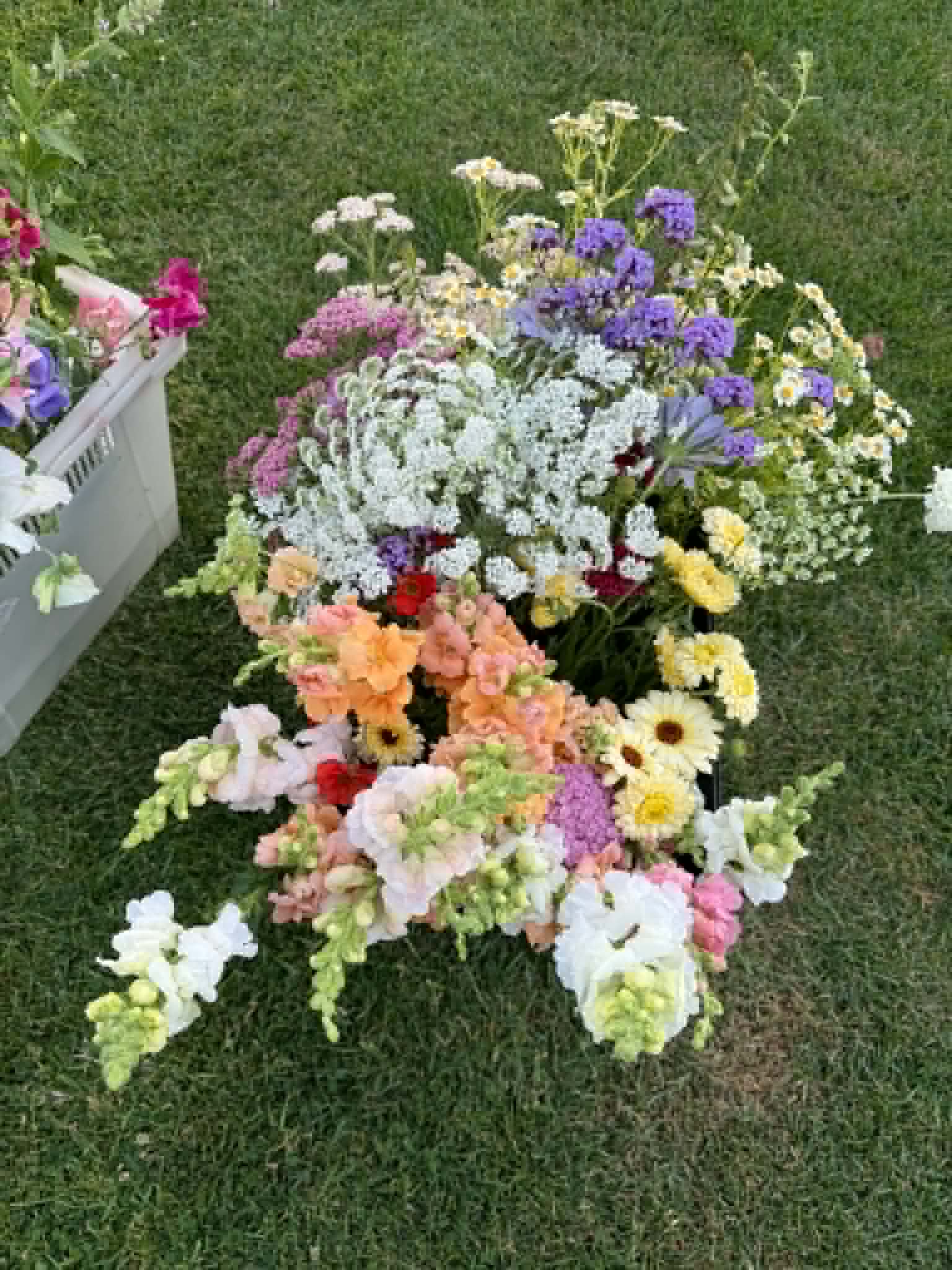 Crate of meadow flowers on the lawn