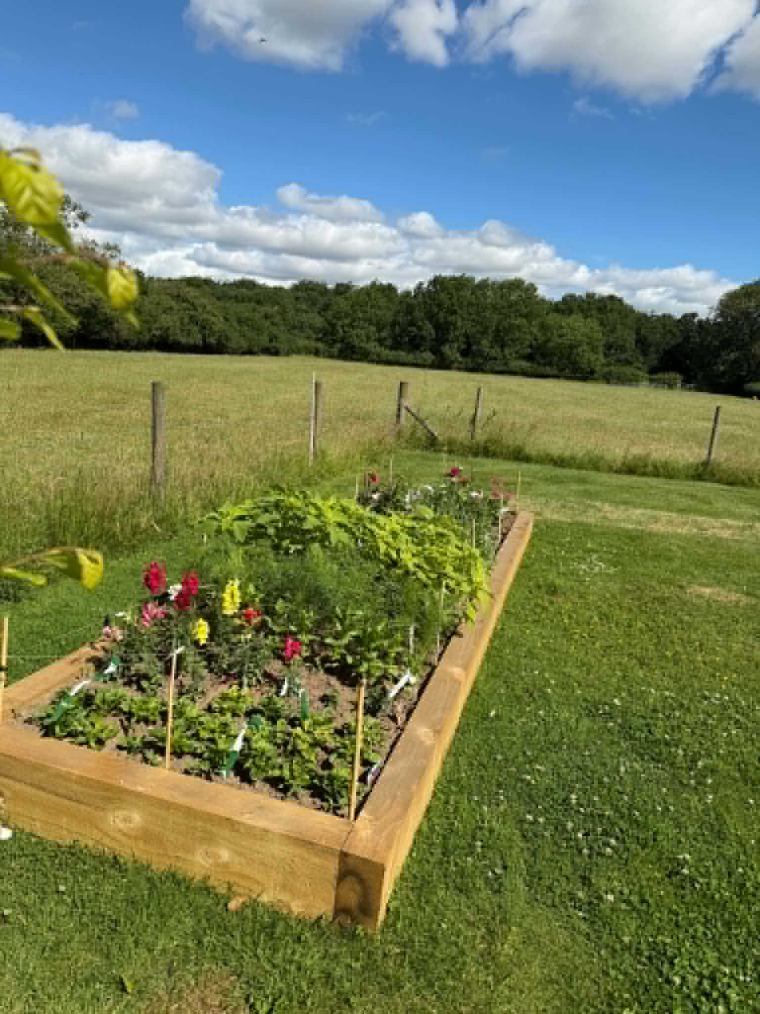 Raised garden bed where the flowers are grown